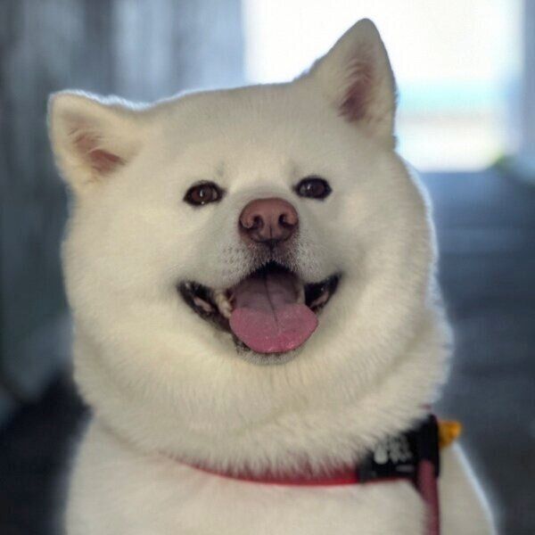 カメラ目線で笑顔の海くん