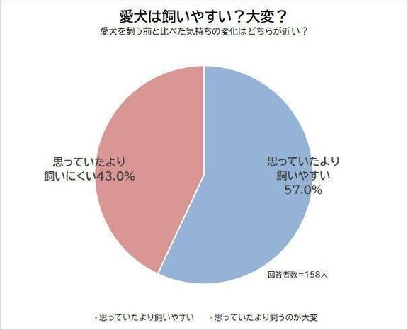 Q.ヨークシャー・テリアは飼いやすい?思っていたより大変?