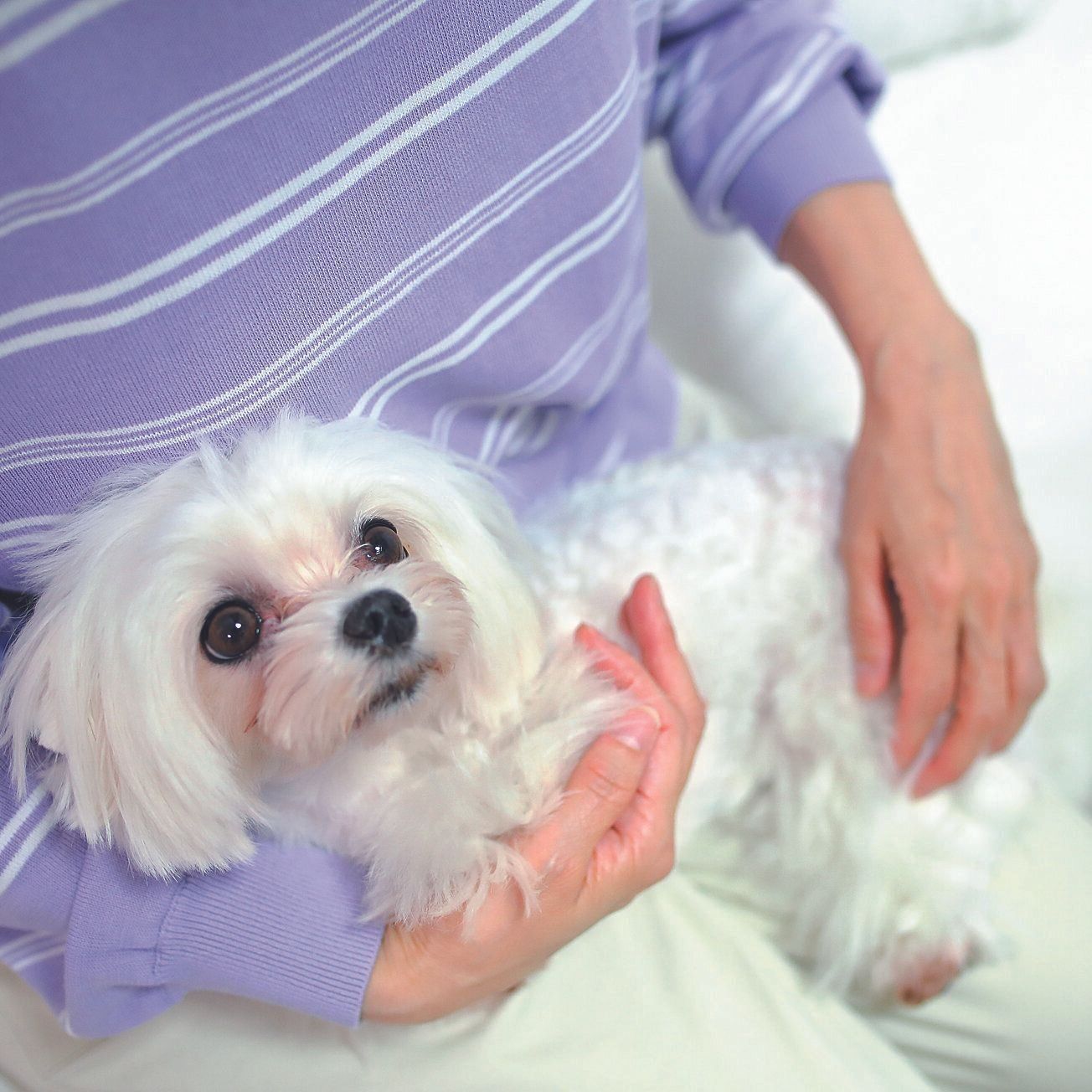 撮影／尾﨑たまき