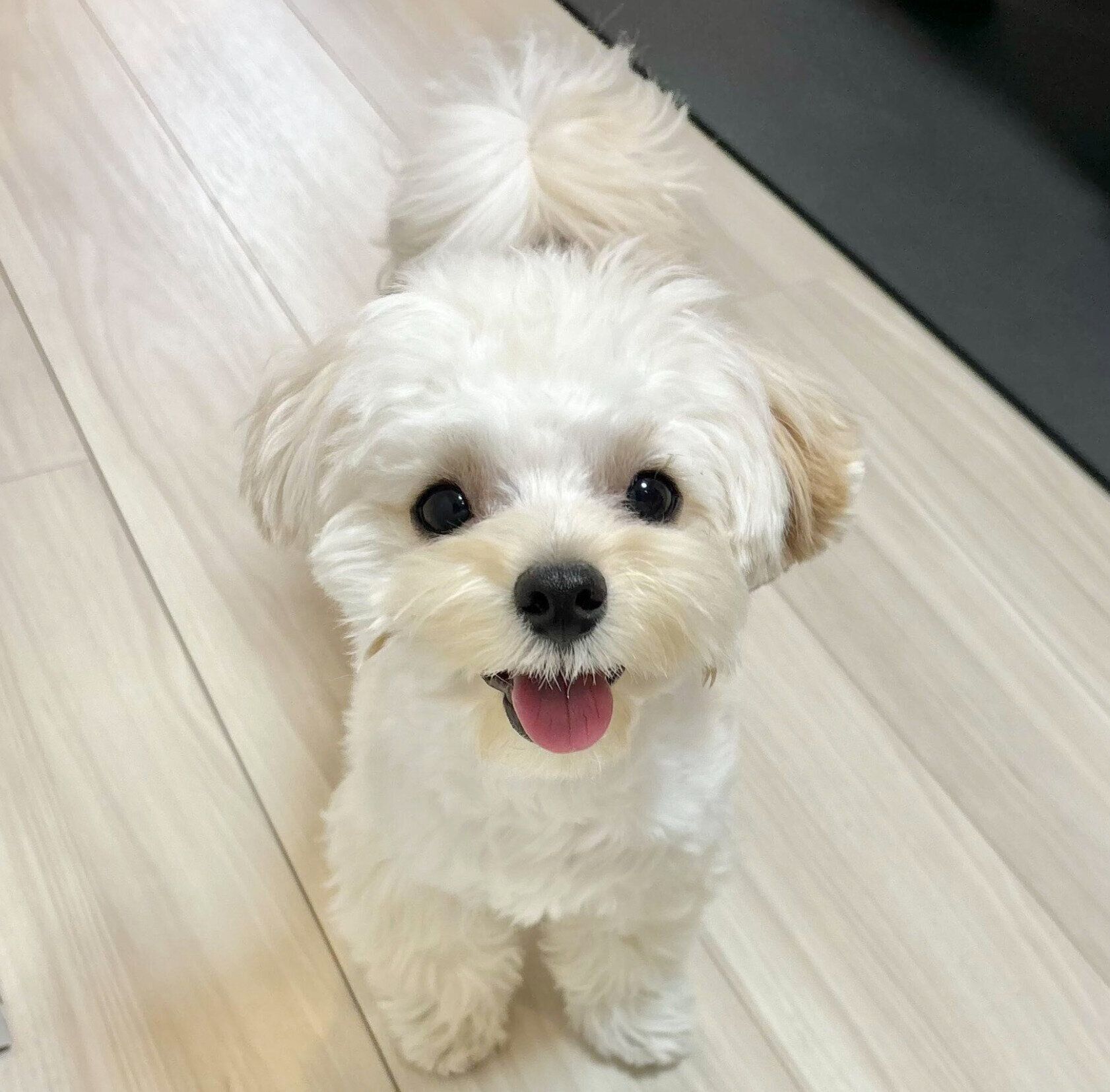 1才になったぽてとくん