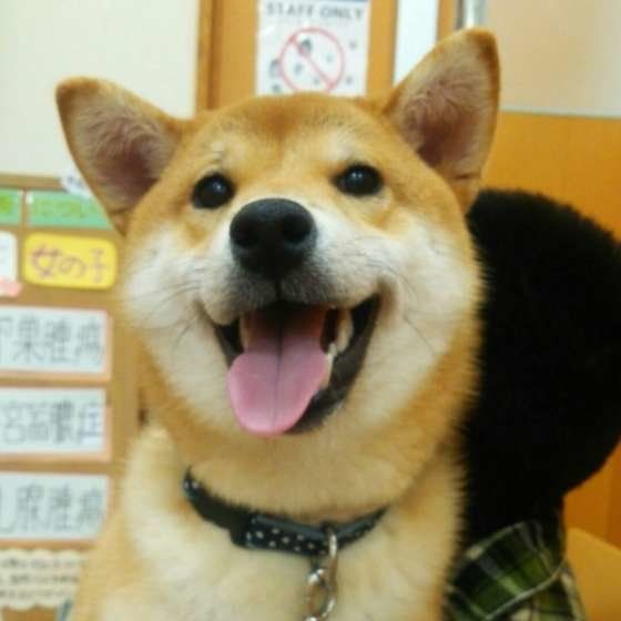 夜間救急対応病院の選び方