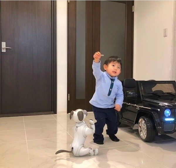 ワンコとアイボ