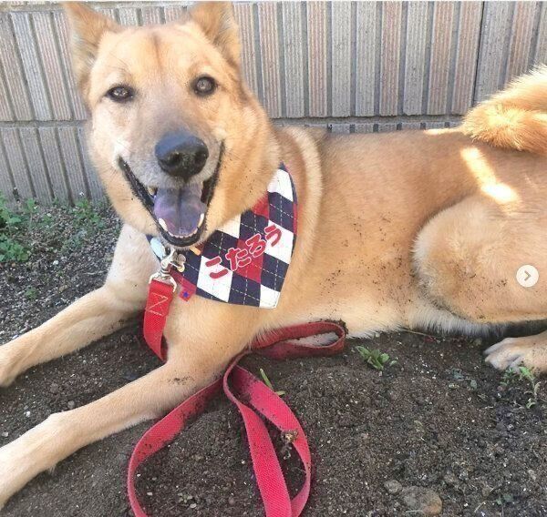 笑顔のこたろうくん