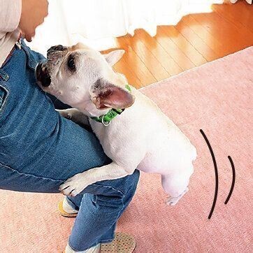 撮影／尾﨑たまき