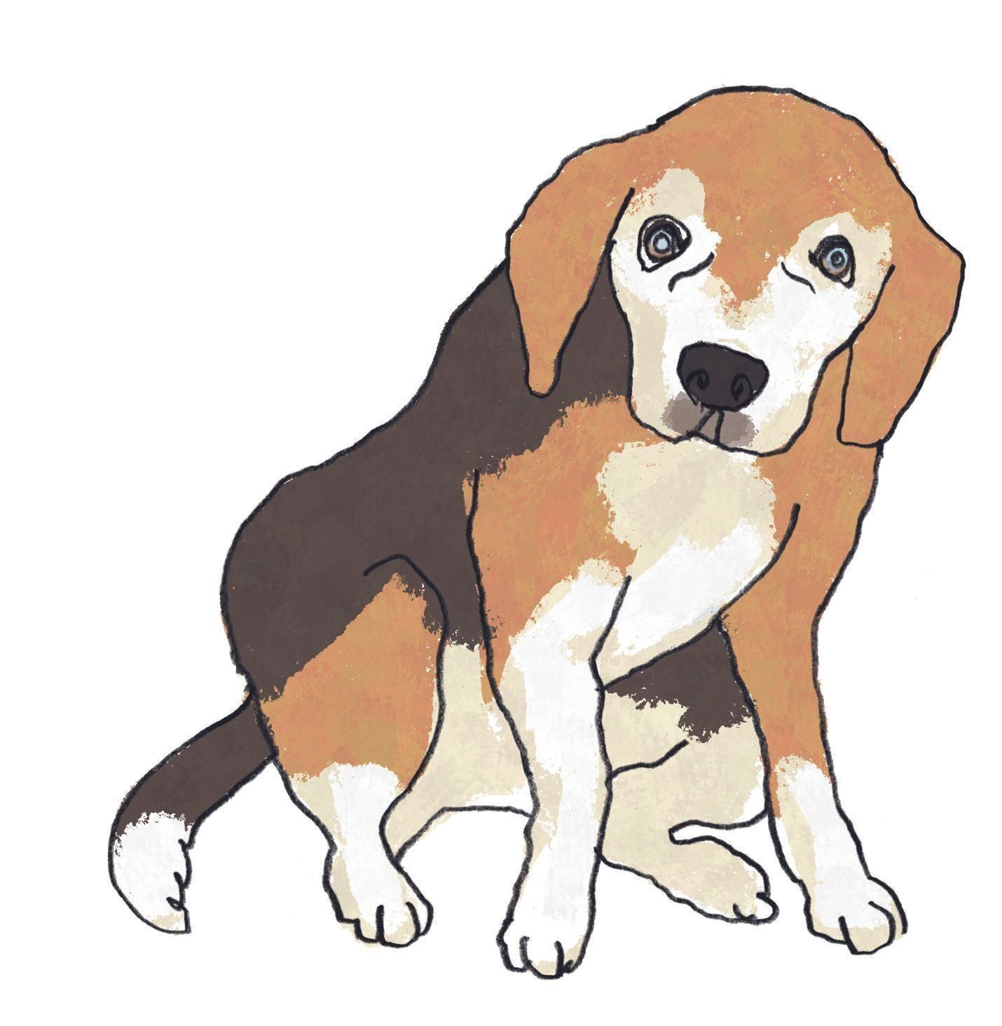 イラスト／五嶋直美