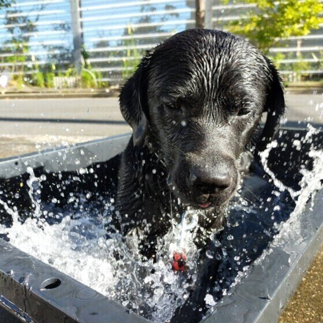 Dollosc5avtxem Dollosc5avtxem