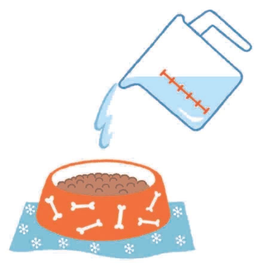 イラスト／フジサワミカ