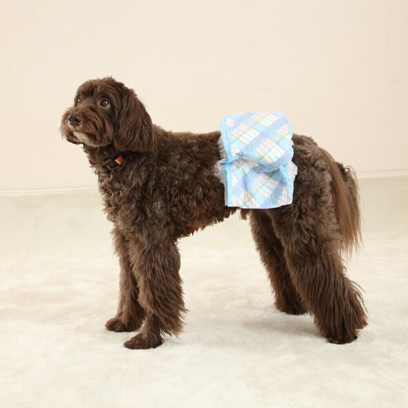 Nfw6nsr4zexnvm Nfw6nsr4zexnvm