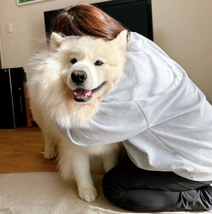 飼い主さんにギュッとしてもらうサニーくん
