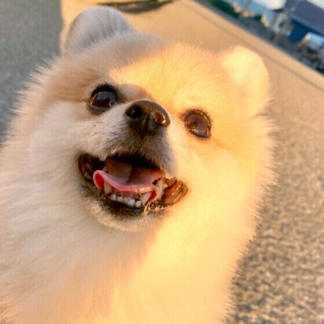 Zzewrusgfaniwm Zzewrusgfaniwm