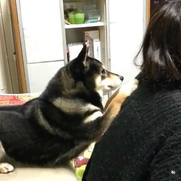 おねだりする吾子ちゃん