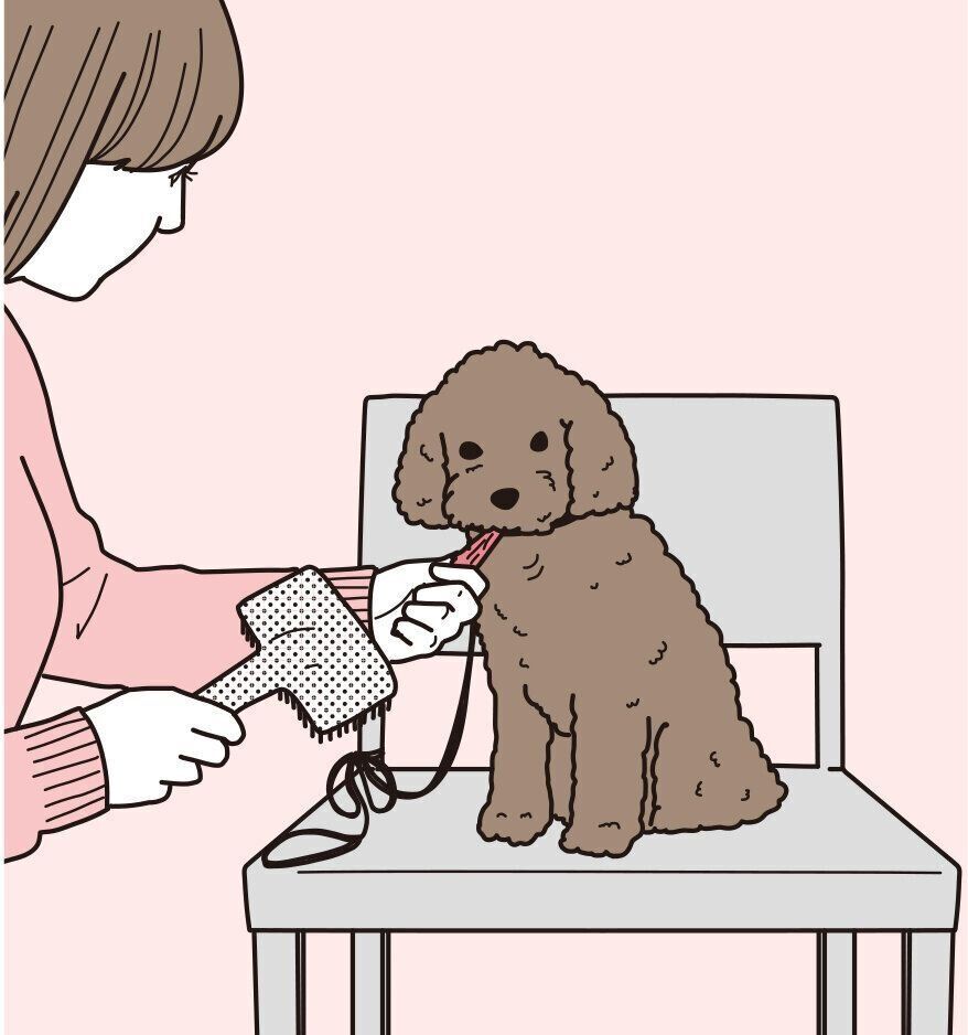 イラスト／二階堂ちはる