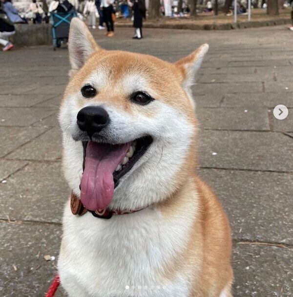 笑顔が可愛いむぎちゃん