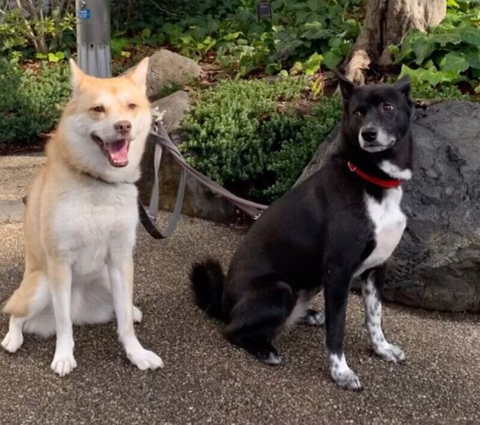 仲良しなハチちゃん、ターシャちゃん