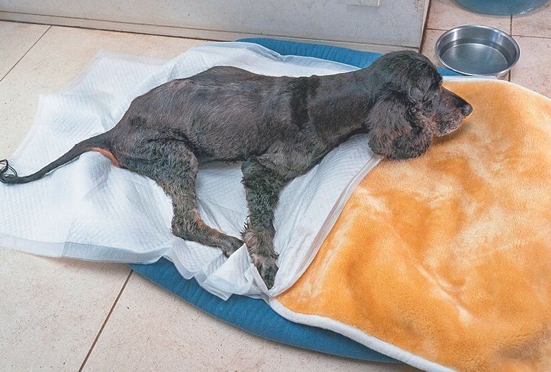 撮影／田尻光久