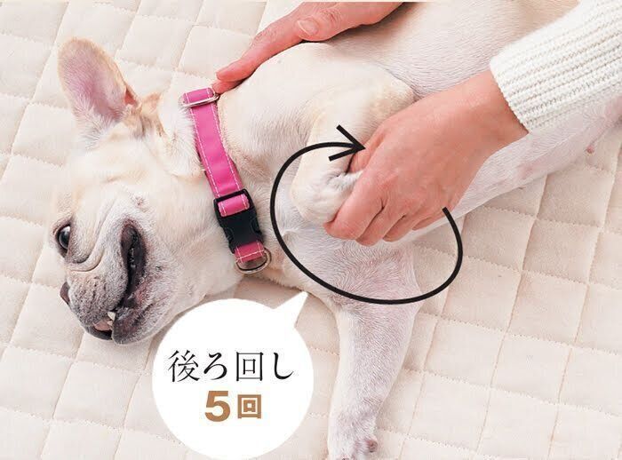 後ろ回し