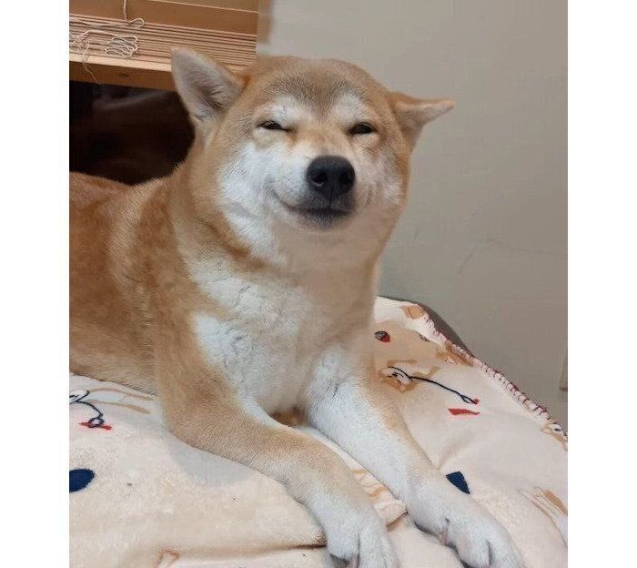 嬉しそうなユクちゃん