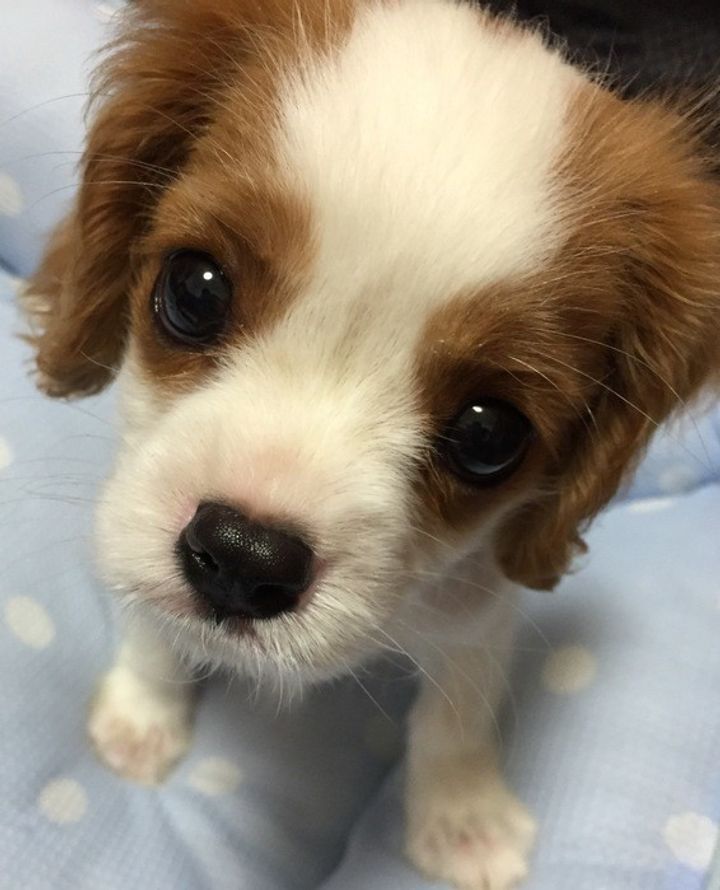 9xkrlgdqo2egom 9xkrlgdqo2egom