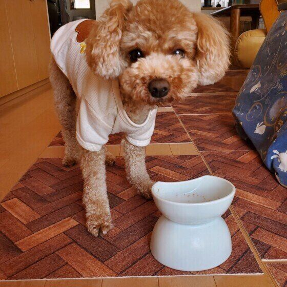 ご飯美味しかった？ ごちそうさま！ 