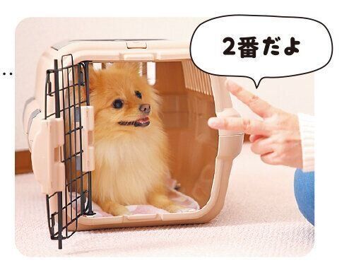 撮影／尾﨑たまき