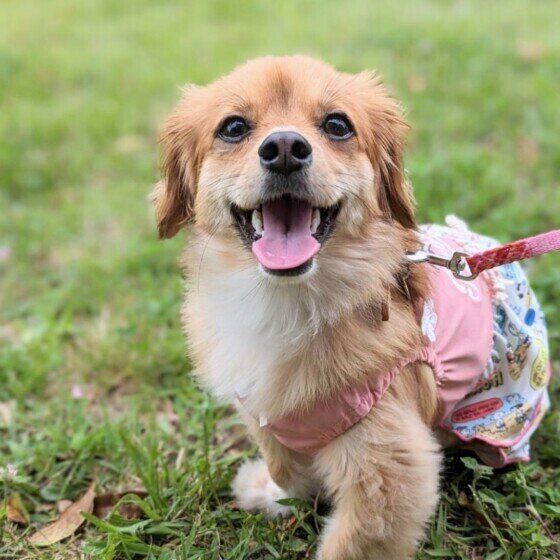 楽しそうなはんなちゃん