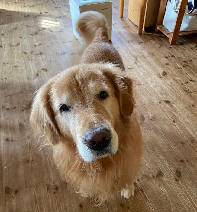 見上げるすまちゃん