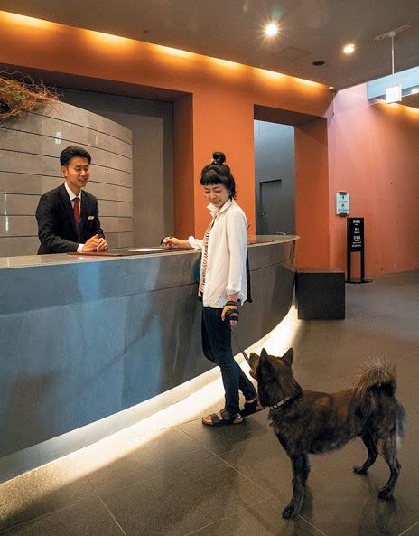 写真／西山嘉治