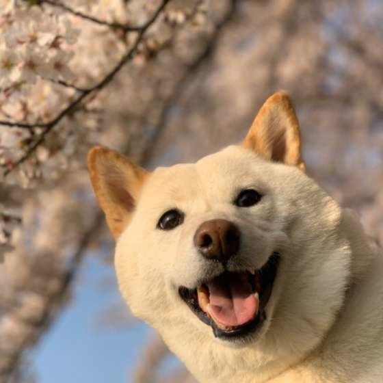 笑顔のこうめちゃん