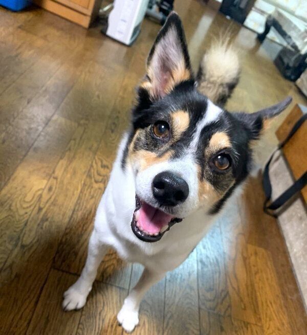 笑顔の乙女ちゃん