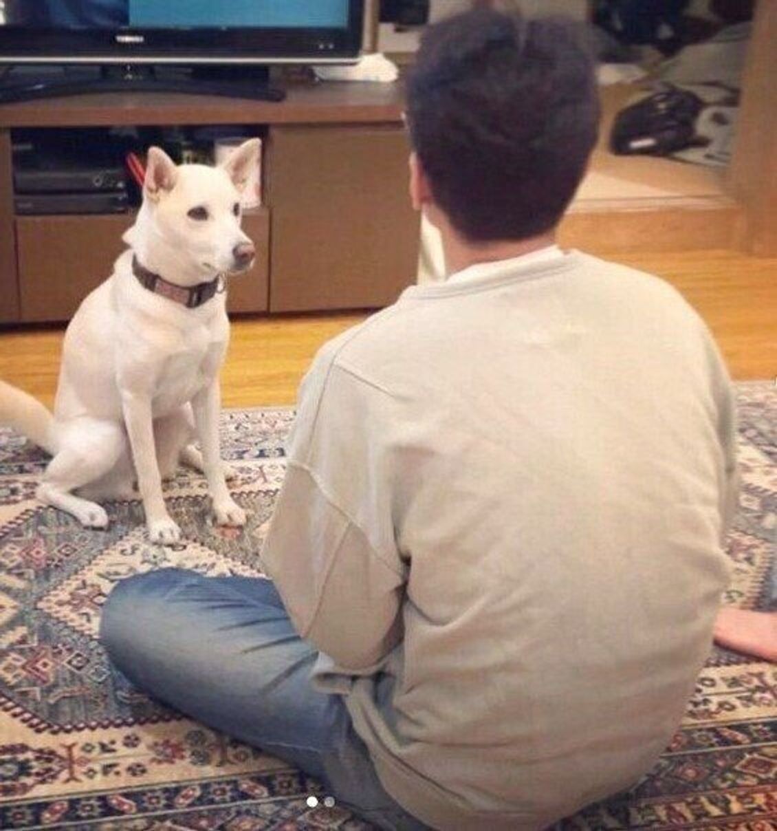 3uld9 4q 28dam 3uld9 4q 28dam