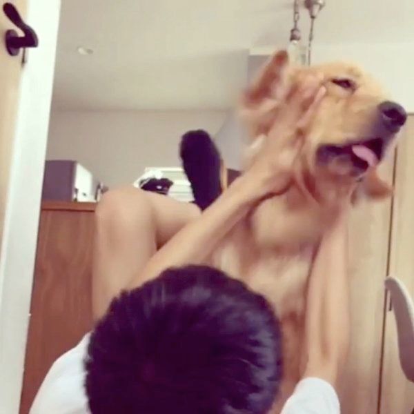 お兄ちゃんとラブラブなゴールデン・レトリーバー