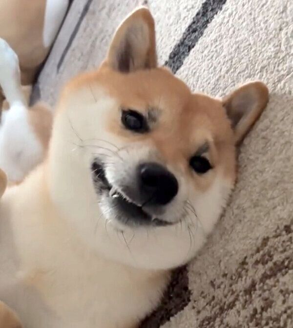 恥ずかしいところを見られてしまって固まるふう太くん