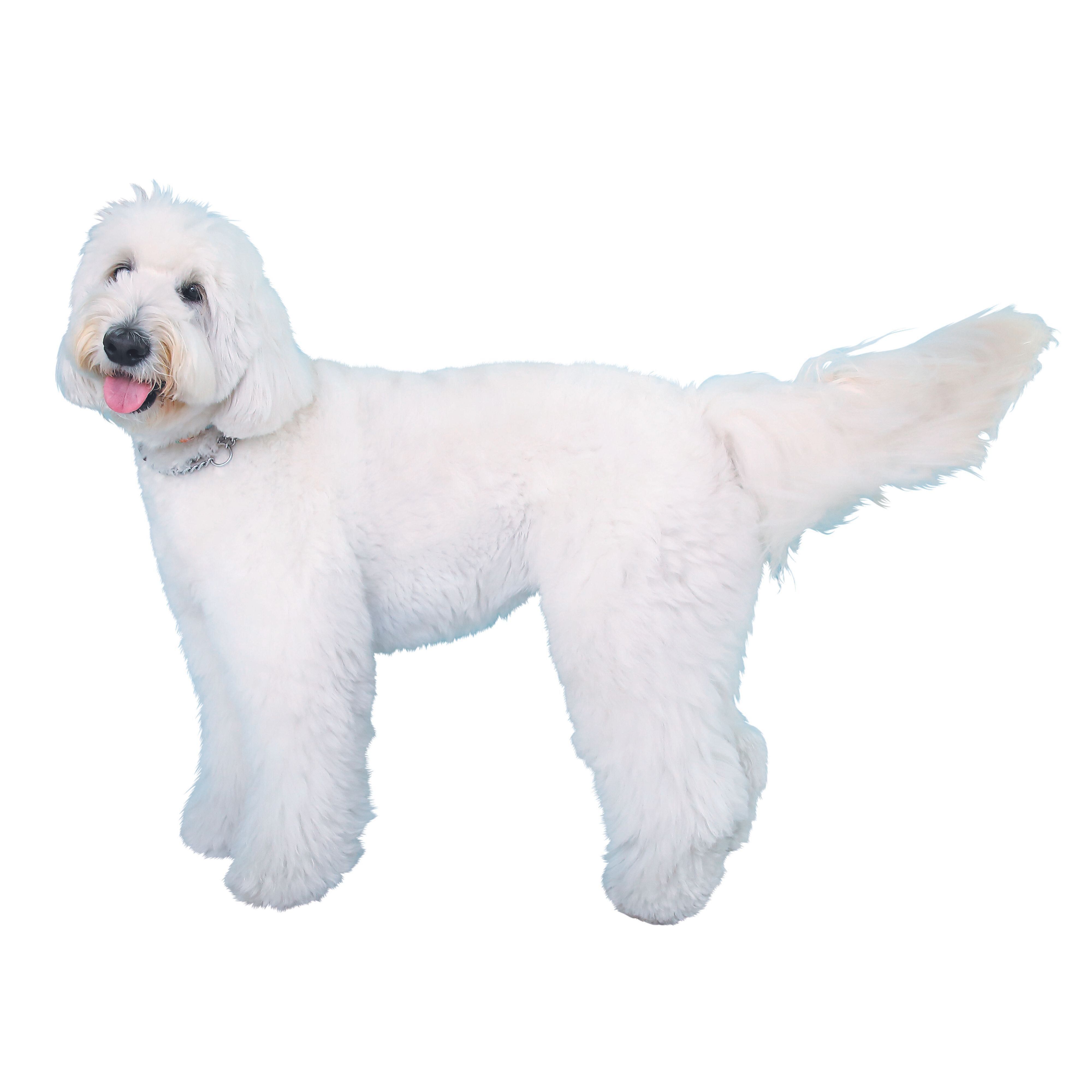 撮影／尾﨑たまき