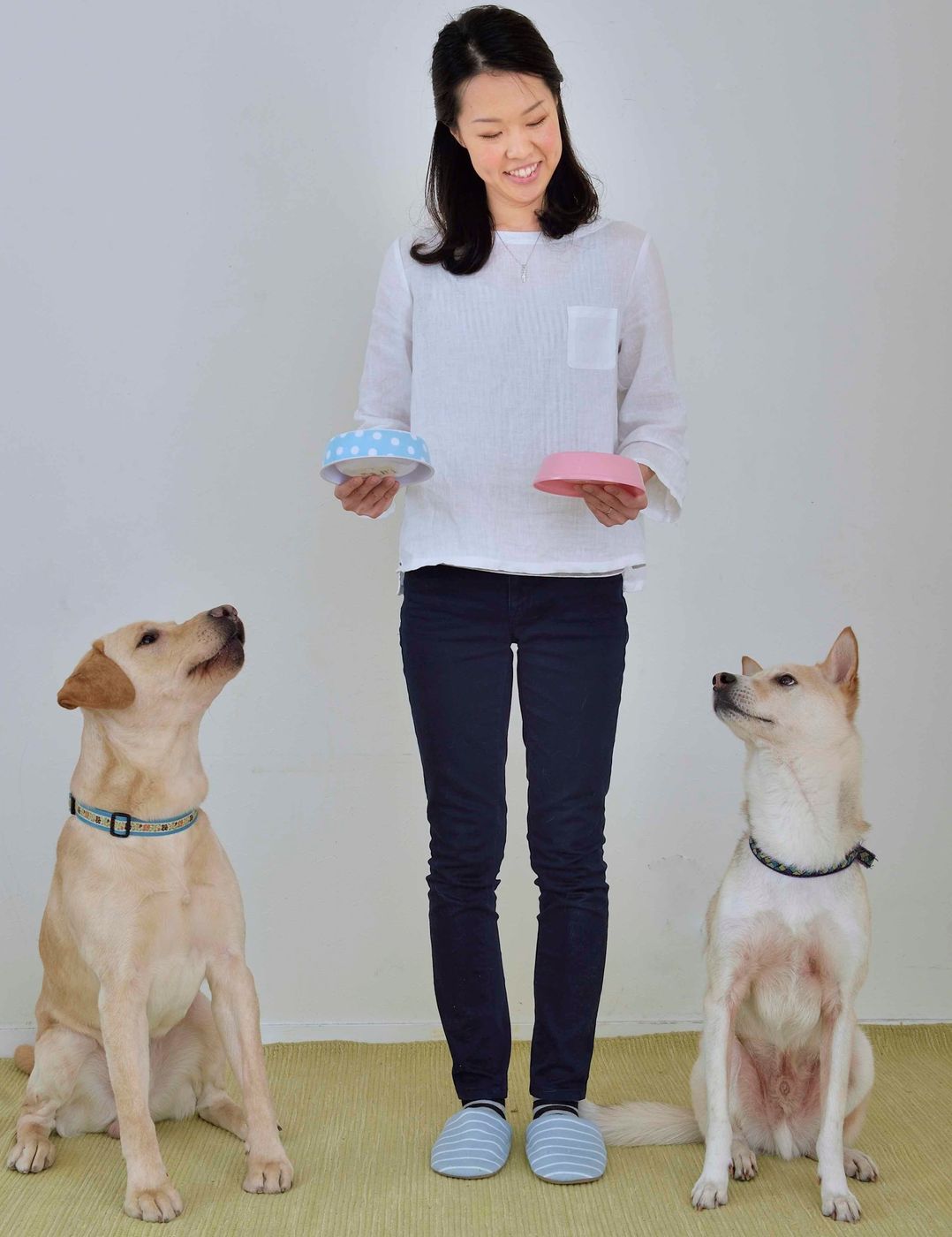 犬を叱るときはマズルをつかむって本当 しつけの噂をジャッジ いぬのきもちweb Magazine 犬を叱るときはマズルをつかむって本当 しつけの噂をジャッジ いぬのきもちweb Magazine