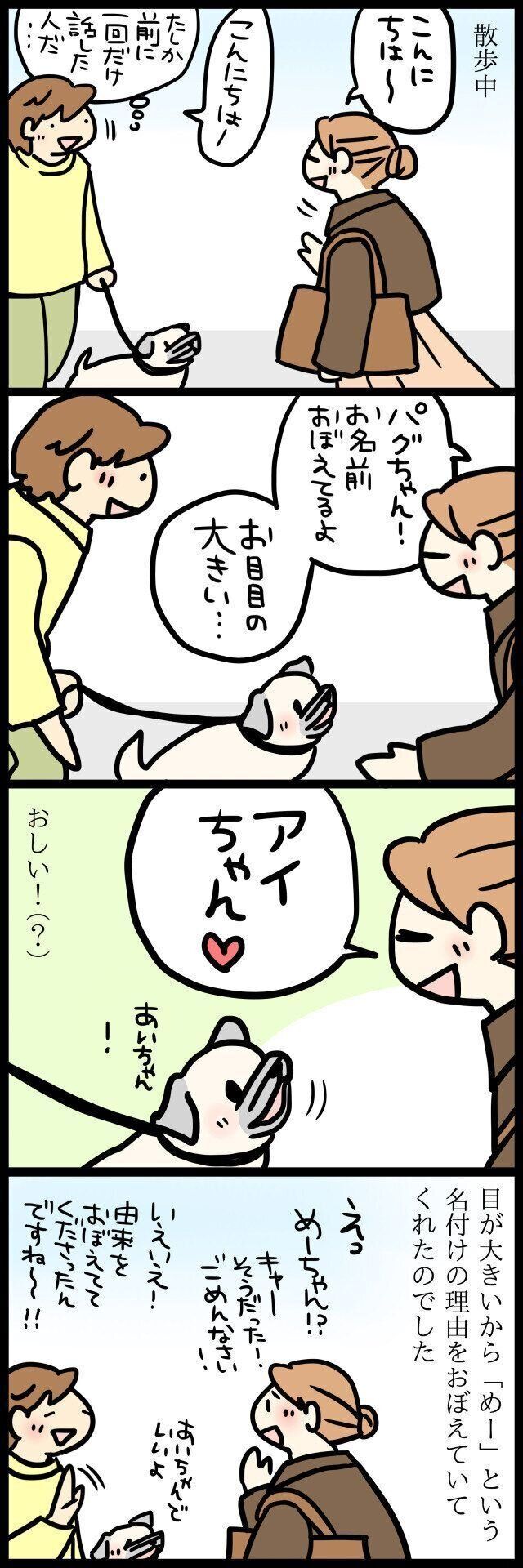 【連載】パグ犬めー