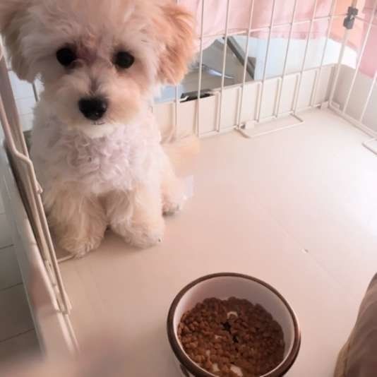 マテができるようになったＭｉｘ