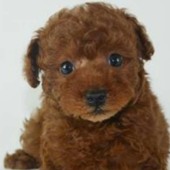 キラキラお目めの琉太くん