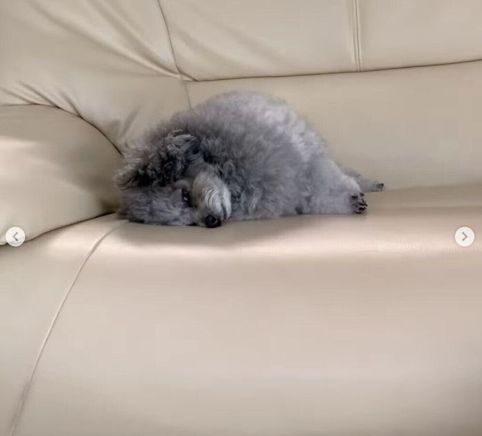 定位置で眠るミロちゃん