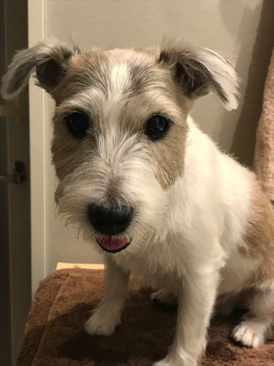 10歳になったのじゃ。