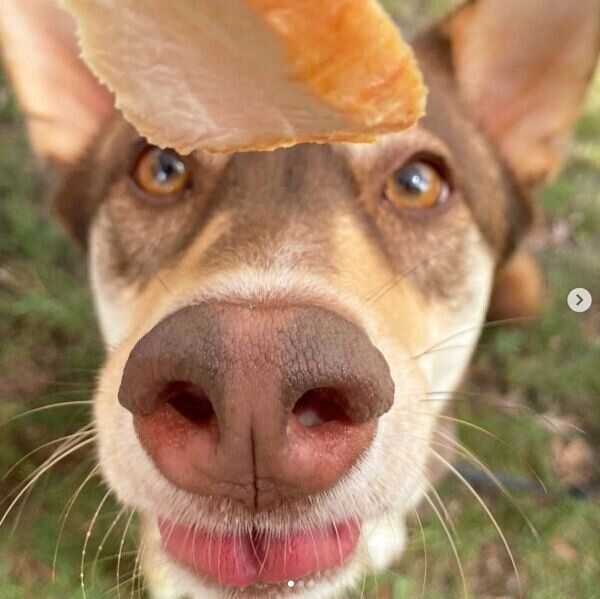 笑顔の次郎ちゃん