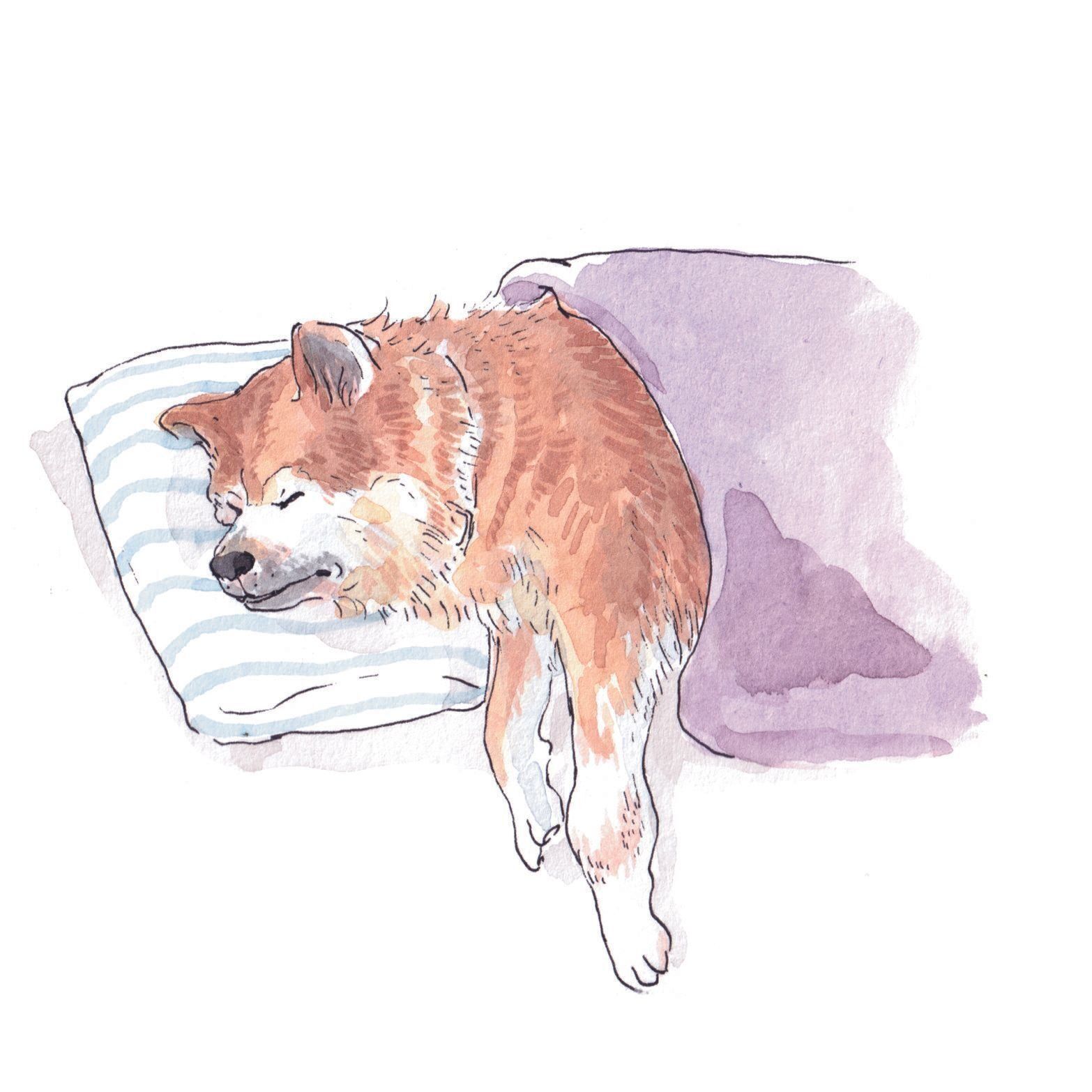 病状が進むと強い痛みのために寝たきりの状態に