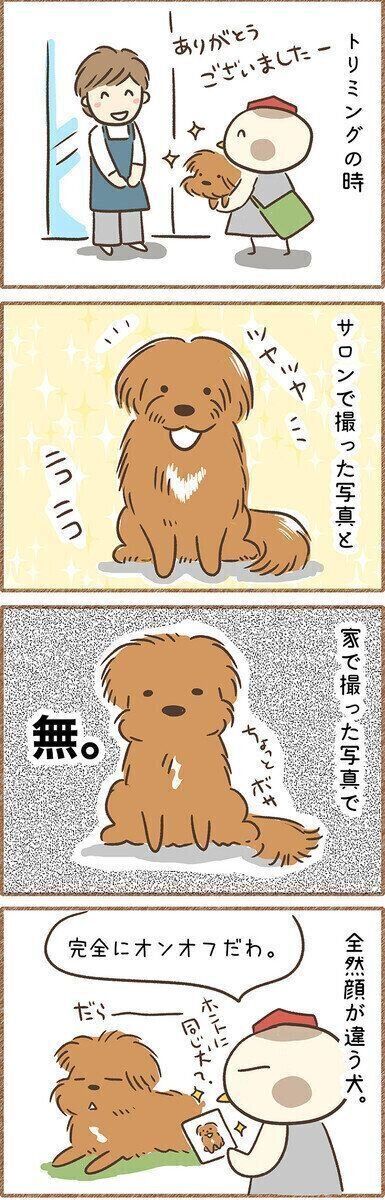 連載「こぐま犬てんすけ」