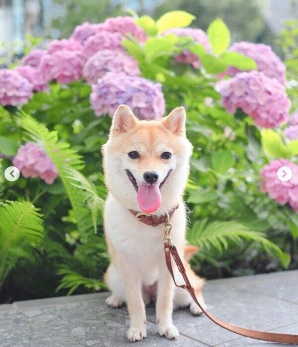 笑顔のたまちゃん