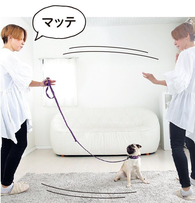 撮影／尾﨑たまき