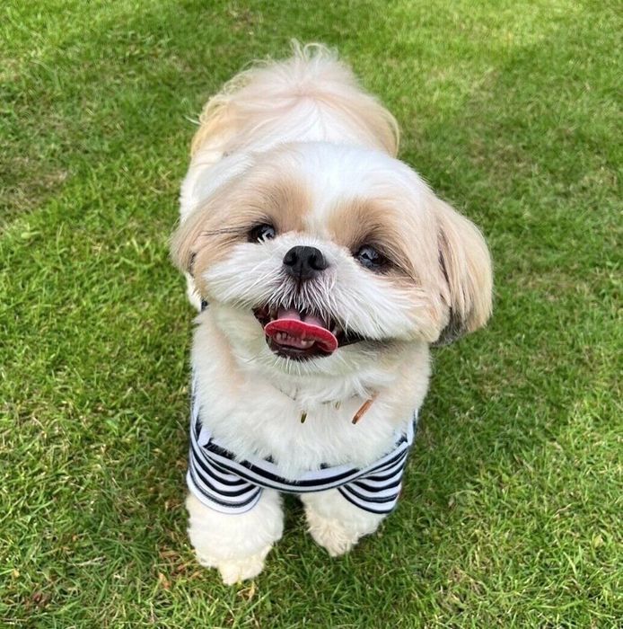 笑顔が可愛いバンクシーちゃん