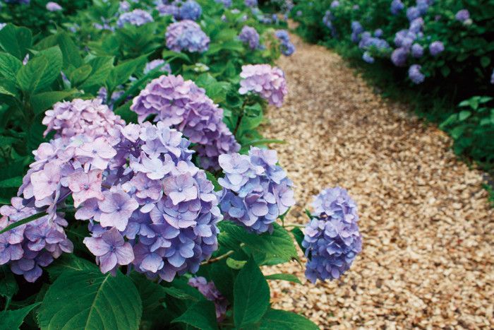 東京　あきる野市　Wonderful Nature Village