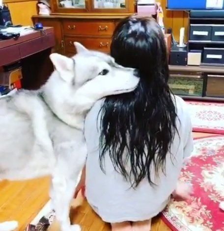 変なニオイに限ってなぜ 犬がスリスリ体をこすりつける理由は いぬのきもちweb Magazine