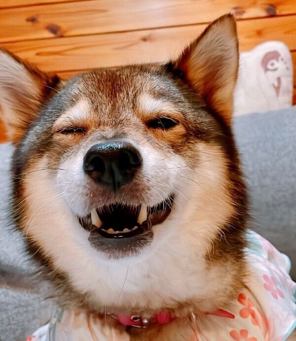 笑顔が可愛いめりちゃん