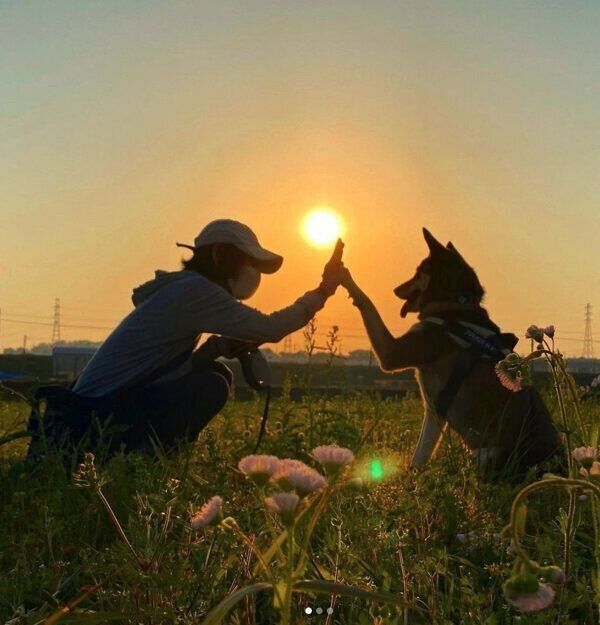 飼い主さんと次郎ちゃん