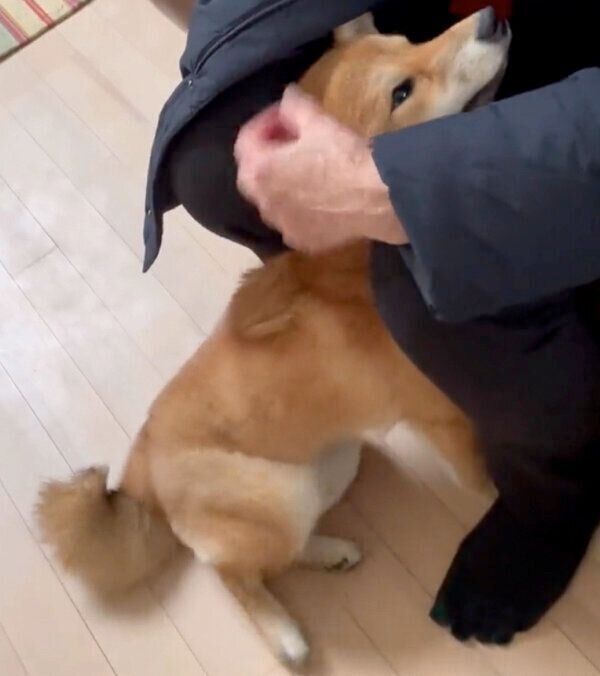 おばあちゃんと触れ合うマヤちゃん